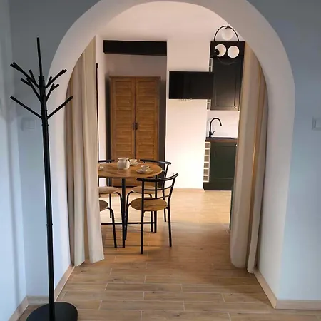 Loft Pod Starym Kasztanem Apartment Krynica Zdroj Exterior photo