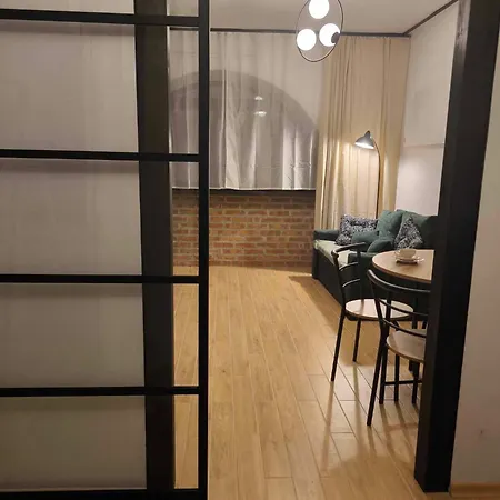 Loft Pod Starym Kasztanem Apartment Krynica Zdroj Exterior photo